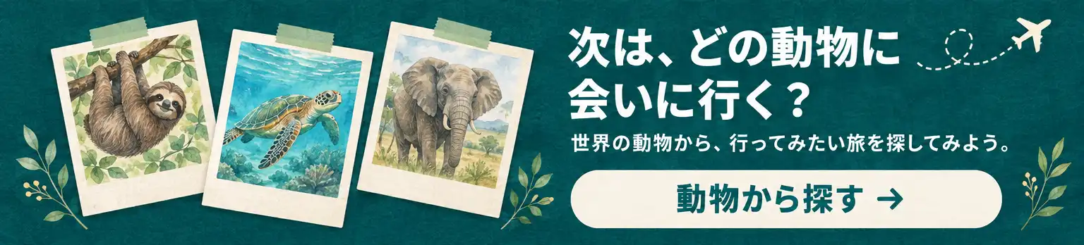 次は、どの動物に会いに行く？ 世界の動物から、行ってみたい旅を探してみよう。