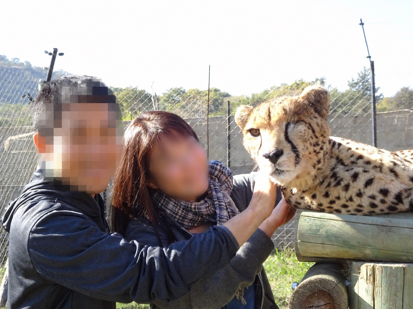 片目に特徴のあるチーターと並んで撮った記念写真